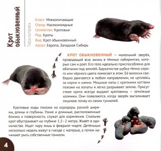 Подземные обитатели фото книги 5