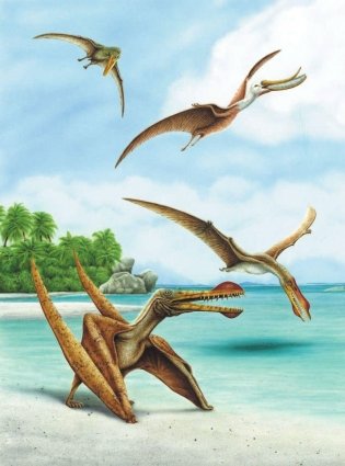 Динозавры и первые звери фото книги 5