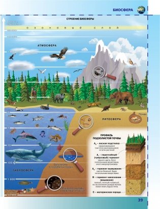 Атлас. Физическая география. 6 класс фото книги 5