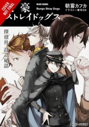 Bungo Stray Dogs, Vol. 3 (Light Novel) фото книги