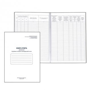 Книга учёта движения трудовых книжек и вкладышей в них фото книги