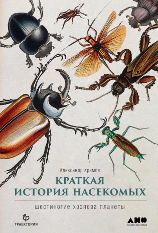 Краткая история насекомых: Шестиногие хозяева планеты фото книги