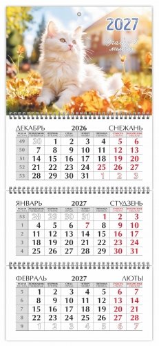 Календарь настенный квартальный на 2027 год. "Счастье в мелочах" фото книги