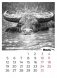 Календарь "Год быка" на 2021 год фото книги маленькое 6