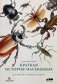 Краткая история насекомых: Шестиногие хозяева планеты фото книги маленькое 2