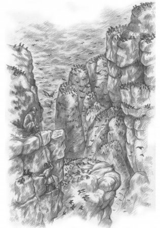 Остров мужества фото книги 8