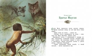 История Маугли фото книги 8