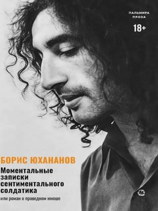 Моментальные записки сентиментального солдатика, или Роман о праведном юноше фото книги