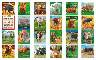 Календарь настенный отрывной "Год быка" на 2021 год фото книги 2