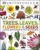 Trees, Leaves, Flowers & Seeds: A visual encyclopedia of the plant kingdom фото книги маленькое 2