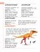 Динозавры. Полный иллюстрированный словарь фото книги маленькое 13