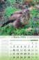 Календарь настенный перекидной на 2024 год "Особенности национальной охоты" (320х480 мм) на гребне с ригелем фото книги маленькое 6