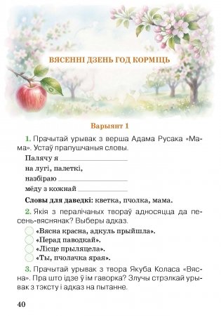 Літаратурнае чытанне. Тэматычны кантроль. 3 клас фото книги 10
