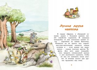 Тафити и летающая корзина фото книги 2