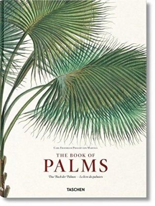 Martius. The Book of Palms фото книги