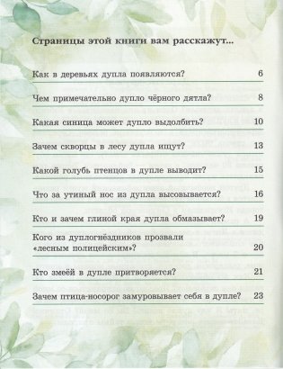 Где дупло — там загадка (серия «Рассказы Деда Природоведа») фото книги 2