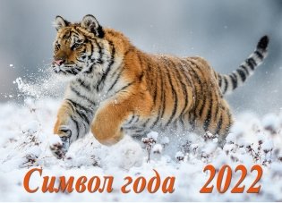 Календарь настенный перекидной "Символ года 2. Маркет" на 2022 год фото книги