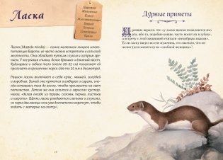 Магические животные. Легенды и суеверия фото книги 6