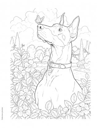 Creative Haven the Dog Lovers' Coloring Book фото книги 8
