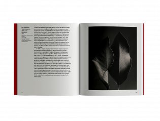 Краткая квир-история искусства фото книги 5