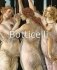 Boticelli фото книги маленькое 2