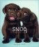 Snog: A Puppy's Guide to Love фото книги маленькое 2