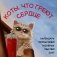 Коты, что греют сердце: календарь теплых дней и добрых мыслей. Календарь настенный на 2027 год (170х170 мм) фото книги маленькое 2