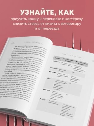 Кошачий закон и порядок. Как найти общий язык с кошкой и не стать жертвой ее капризов фото книги 7