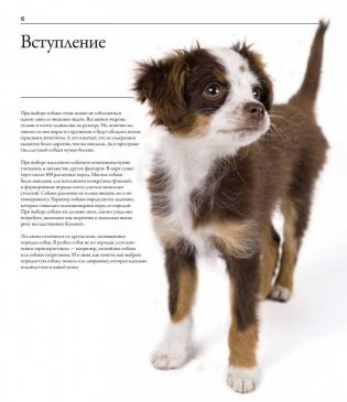 Все породы собак фото книги 3