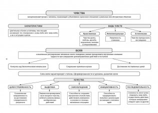 Обществоведение в логических схемах. ЦЭ. ЦТ фото книги 6