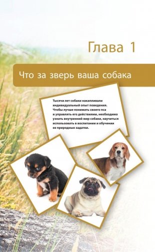 Дрессировка и воспитание собаки (+ DVD) фото книги 10
