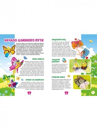 Бабочки. Детская энциклопедия фото книги 4