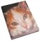Записная книжка "Кошка №2" (А5) фото книги маленькое 2
