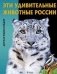 Эти удивительные животные России фото книги маленькое 2