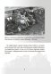 Геноцид белорусского народа в годы Великой Отечественной войны. 1-4 классы фото книги маленькое 10