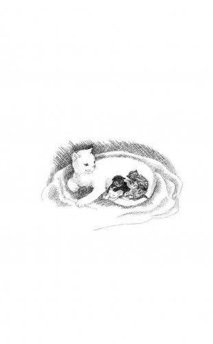Котёнок Усатик, или Отважное сердце фото книги 4
