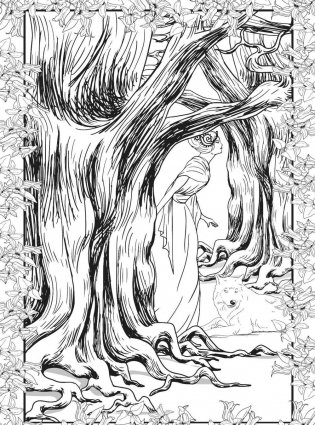 Заколдованный лес. Раскраска-антистресс для творчества и вдохновения фото книги 7
