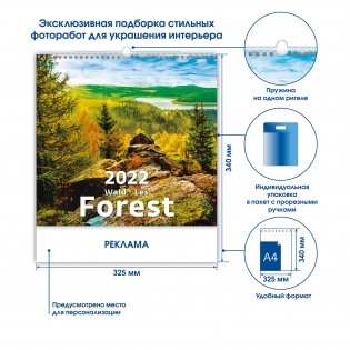 Forest (Лес). Календарь настенный на 2022 год фото книги 2