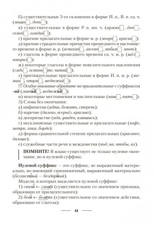 Русский язык. ЦЭ. ЦТ. Теория. Примеры. Тесты фото книги 12