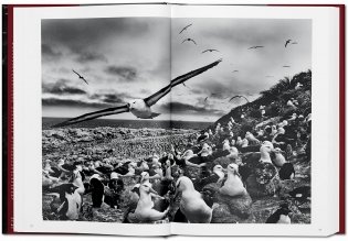 Sebastiao Salgado. Genesis фото книги 6