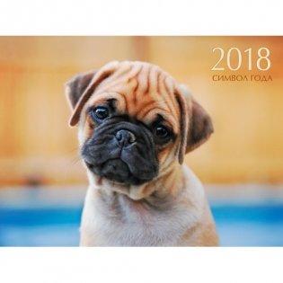 Календарь на 2018 год "Символ года. Очаровательный мопс" фото книги