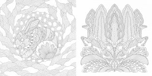 В волшебном лесу фото книги 2