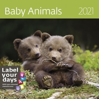 Baby Animals (Забавные малыши). Календарь-органайзер на 2021 год фото книги