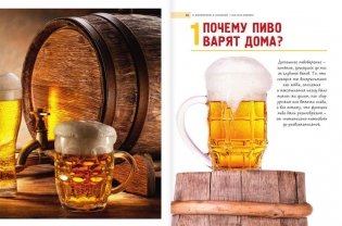 Сам себе пивовар. Первая пивная книга от российских блогеров фото книги 6