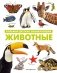 Животные. Большая детская энциклопедия фото книги маленькое 2