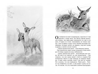 Бемби фото книги 2