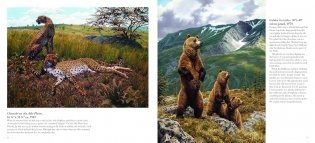 Jay Matternes фото книги 4