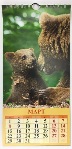 Малыши в природе. Календарь настенный с ригелем на 2021 год (Евро) фото книги 2