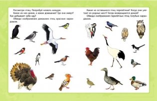 Сборник развивающих заданий "Мир вокруг меня. 5+" фото книги 6