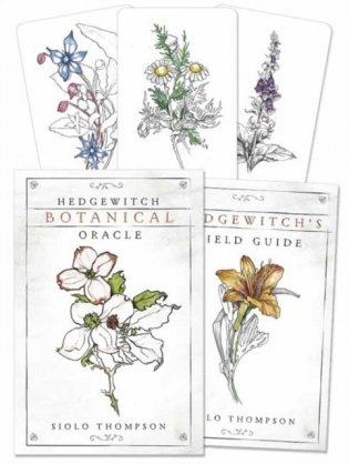 Hedgewitch Botanical Oracle фото книги